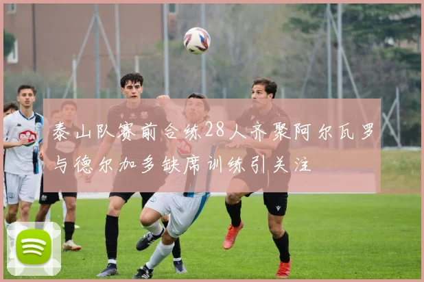 泰山队赛前合练28人齐聚阿尔瓦罗与德尔加多缺席训练引关注